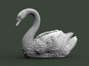 SWAN 3D Print Model