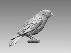 Bird 3D Принт Модель