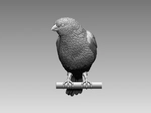 Bird 3D Print Model