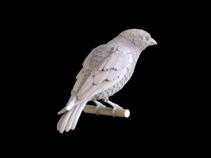 Bird 3Dプリントモデル