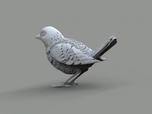 P&aacute;ssaro Modelo de Impressão 3D