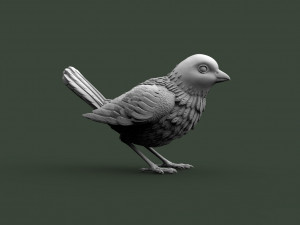 Bird 3D Принт Модель