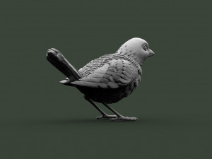 Bird 3D Принт Модель
