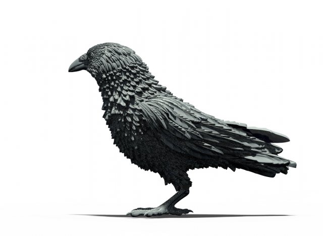 Bird Modelo de Impressão 3D .c4d .max .obj .3ds .fbx .stl .blend 