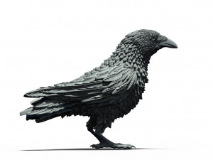 Bird Modelo de Impressão 3D