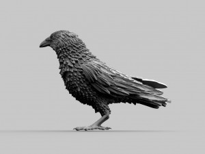 Bird Modelo de Impressão 3D