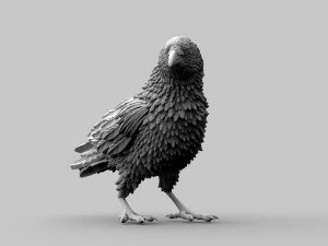Bird 3D Print Model