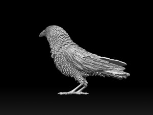 Bird Modelo de Impressão 3D