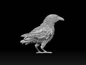 Bird Modelo de Impressão 3D