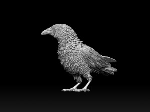Bird Modelo de Impressão 3D