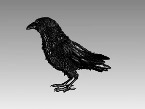 Bird 3D Print Model