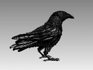 Bird 3D Print Model