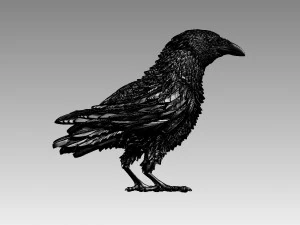 Bird 3D Print Model