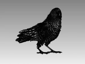 Bird 3D Print Model