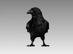 Bird 3D Print Model