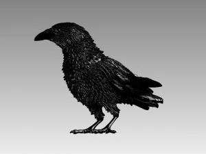 Bird 3D Print Model