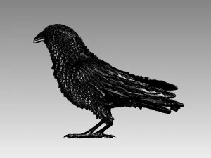 Bird 3D Print Model
