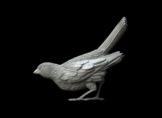 Bird 3D 프린트 모델 .c4d .max .obj .3ds .fbx .stl .blend 