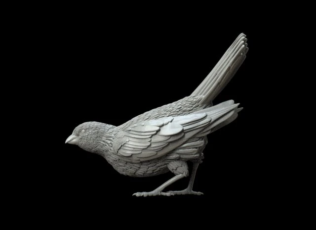 鳥 3Dプリントモデル .c4d .max .obj .3ds .fbx .stl .blend 