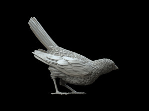 Bird 3D 프린트 모델
