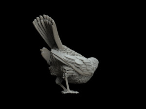 Bird 3D 프린트 모델