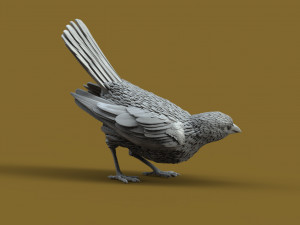 Bird 3D 프린트 모델