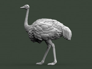 Ostrich 3D-printmodel