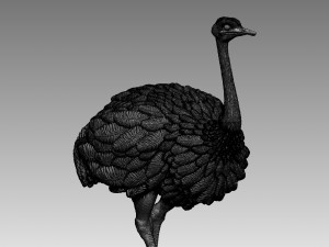 Ostrich 3D-printmodel