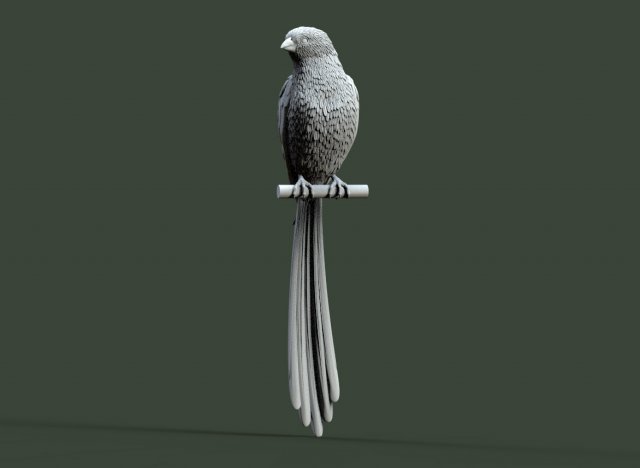 Bird 3D प्रिंट मॉडल .c4d .max .obj .3ds .fbx .stl .blend 