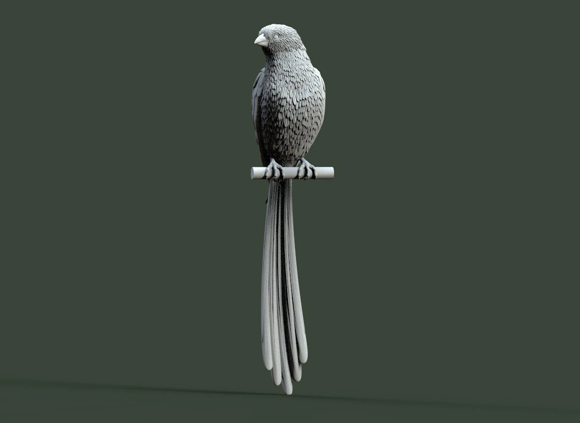Bird 3D Print Model .c4d .max .obj .3ds .fbx .stl .blend 
