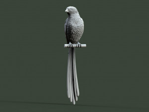 Bird 3D-printmodel