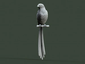 鳥 3Dプリントモデル