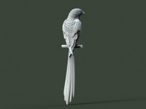 Bird 3D प्रिंट मॉडल