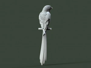 Bird 3D Print Model