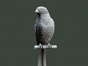 Bird 3D Print Model