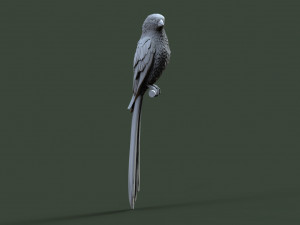 Bird 3D प्रिंट मॉडल