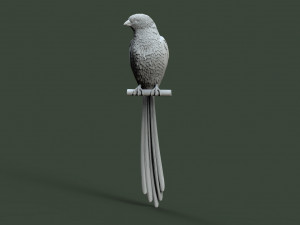 Bird 3D प्रिंट मॉडल