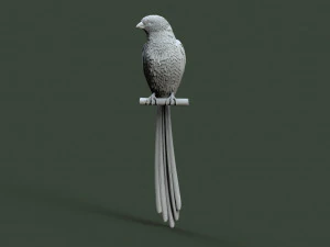 Bird 3D Print Model