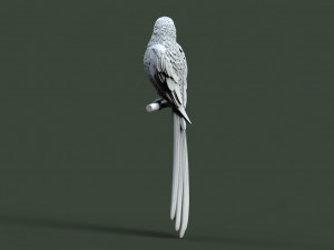 Bird 3D प्रिंट मॉडल