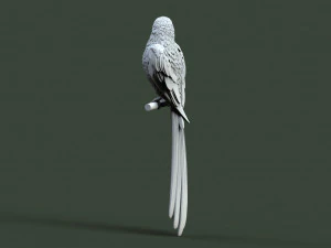 Bird 3D Print Model