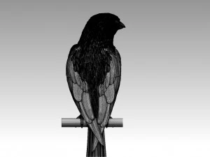 Bird 3D Print Model