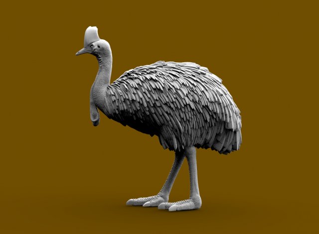 Cassowary 3D Druckmodell .c4d .max .obj .3ds .fbx .stl .blend