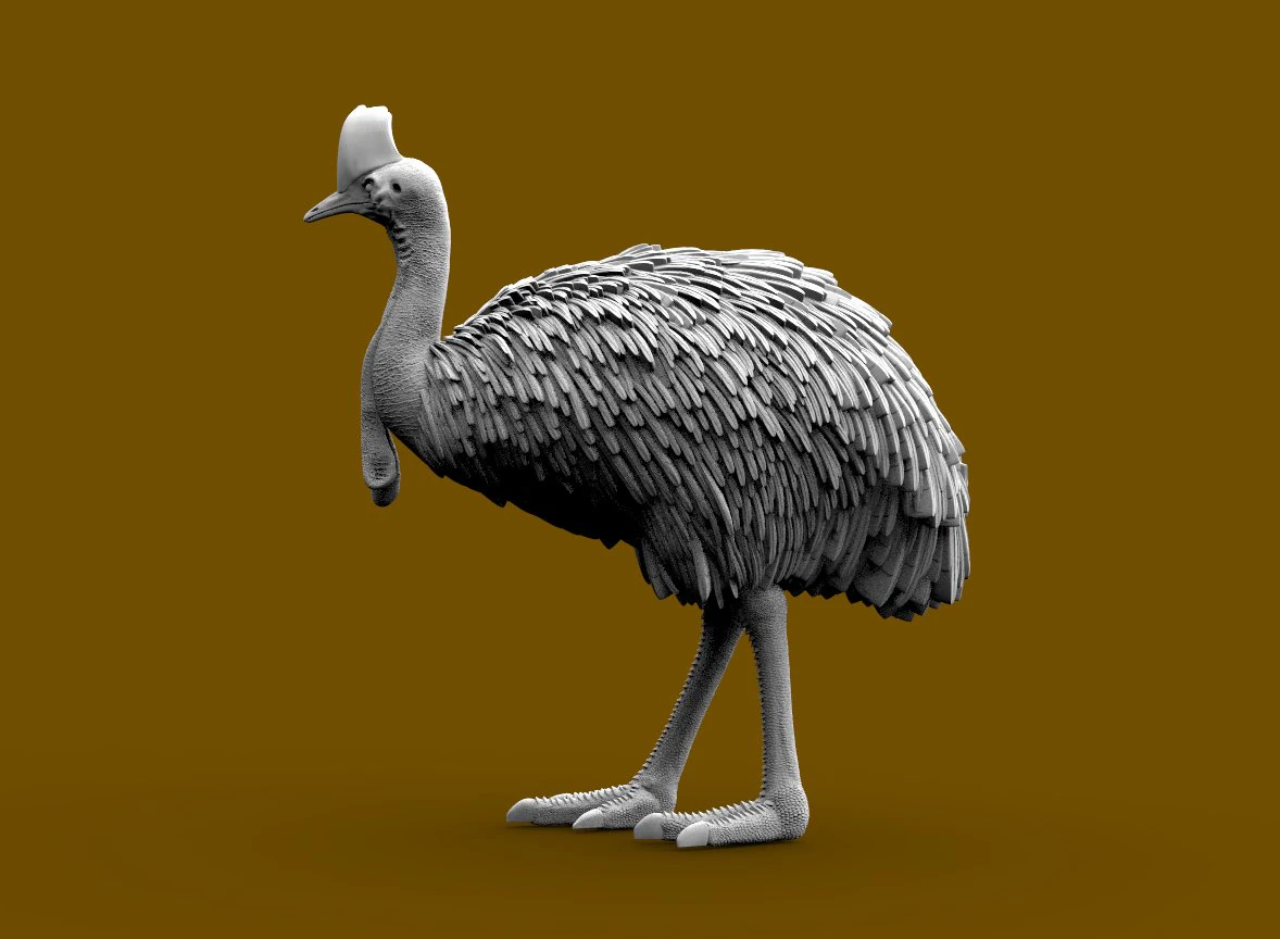 Cassowary 3D Print Model .c4d .max .obj .3ds .fbx .stl .blend 