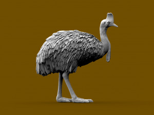 Cassowary 3D Druckmodell