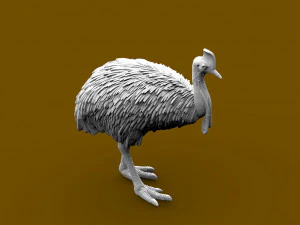 Cassowary 3D Print Model