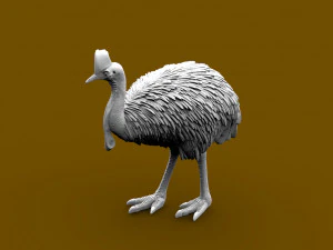 Cassowary 3D Print Model