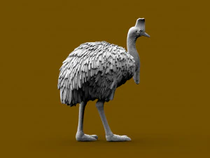 Cassowary 3D Print Model