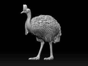 Cassowary 3D Print Model