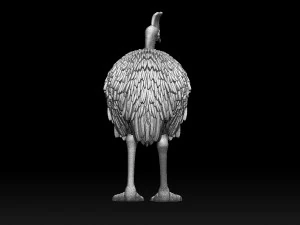 Cassowary 3D Print Model