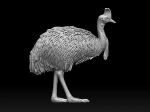 Cassowary 3D Print Model